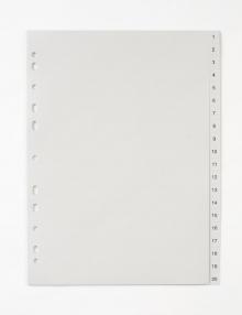 Rozaova Karton PP A4, 1 - 20, 20 list