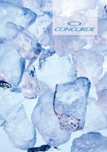 Z�znamn� kniha CONCORDE, A4, linka, 100 list�