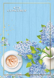 Z�znamn� kniha CONCORDE A6, �tvere�ek, 100 list�