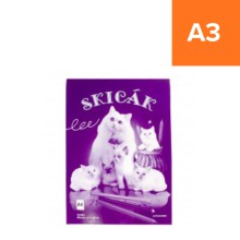 Skic�k A3, 190g/m2 10 list�