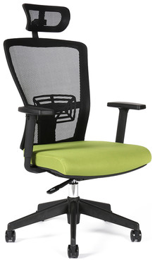 Kancelářská židle<br>THEMIS SP